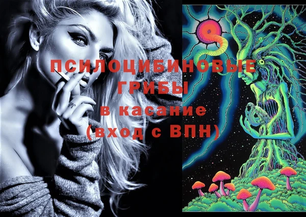 бошки Михайлов